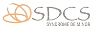 SDCS logo